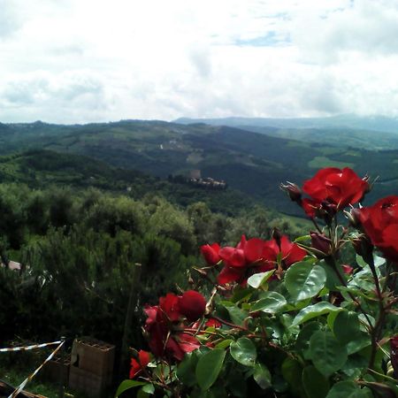 Poggio Al Vento Guest House Castiglione d'Orcia Ngoại thất bức ảnh