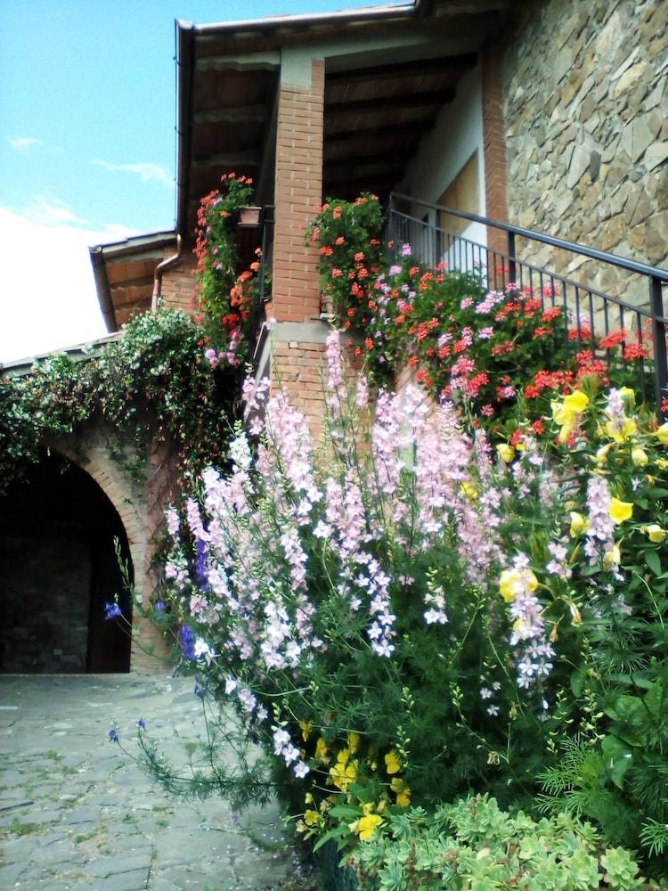 Poggio Al Vento Guest House Castiglione d'Orcia Ngoại thất bức ảnh