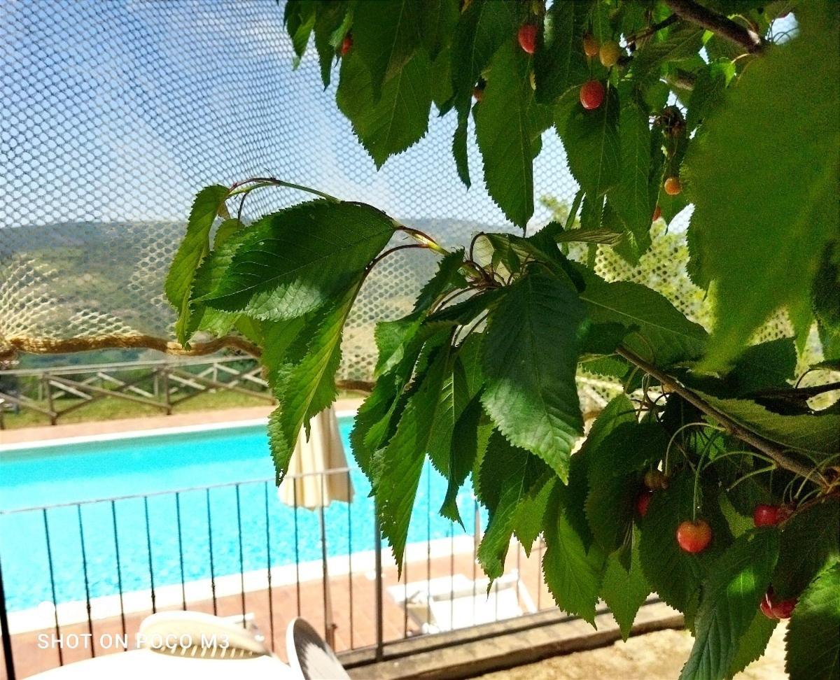 Poggio Al Vento Guest House Castiglione d'Orcia Ngoại thất bức ảnh