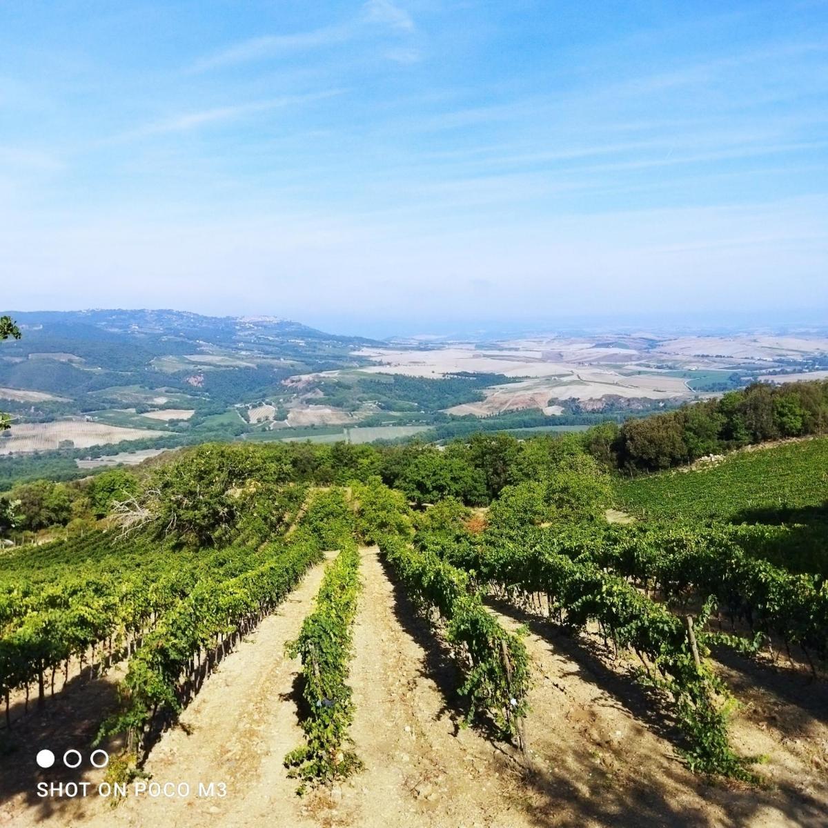 Poggio Al Vento Guest House Castiglione d'Orcia Ngoại thất bức ảnh