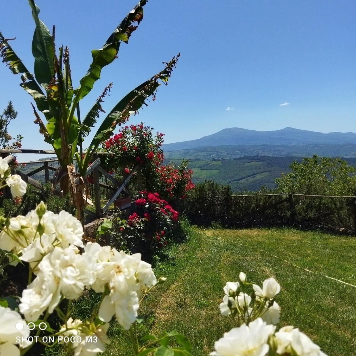 Poggio Al Vento Guest House Castiglione d'Orcia Ngoại thất bức ảnh