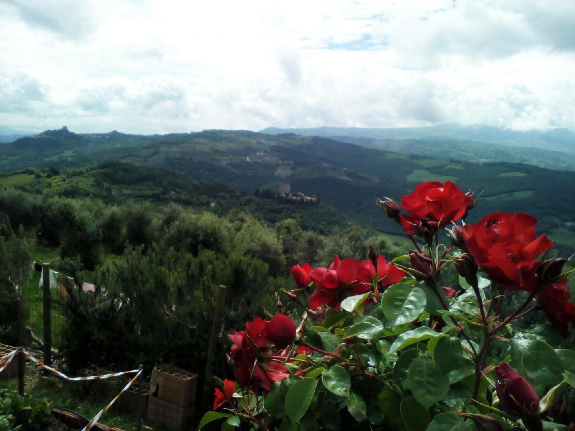 Poggio Al Vento Guest House Castiglione d'Orcia Ngoại thất bức ảnh